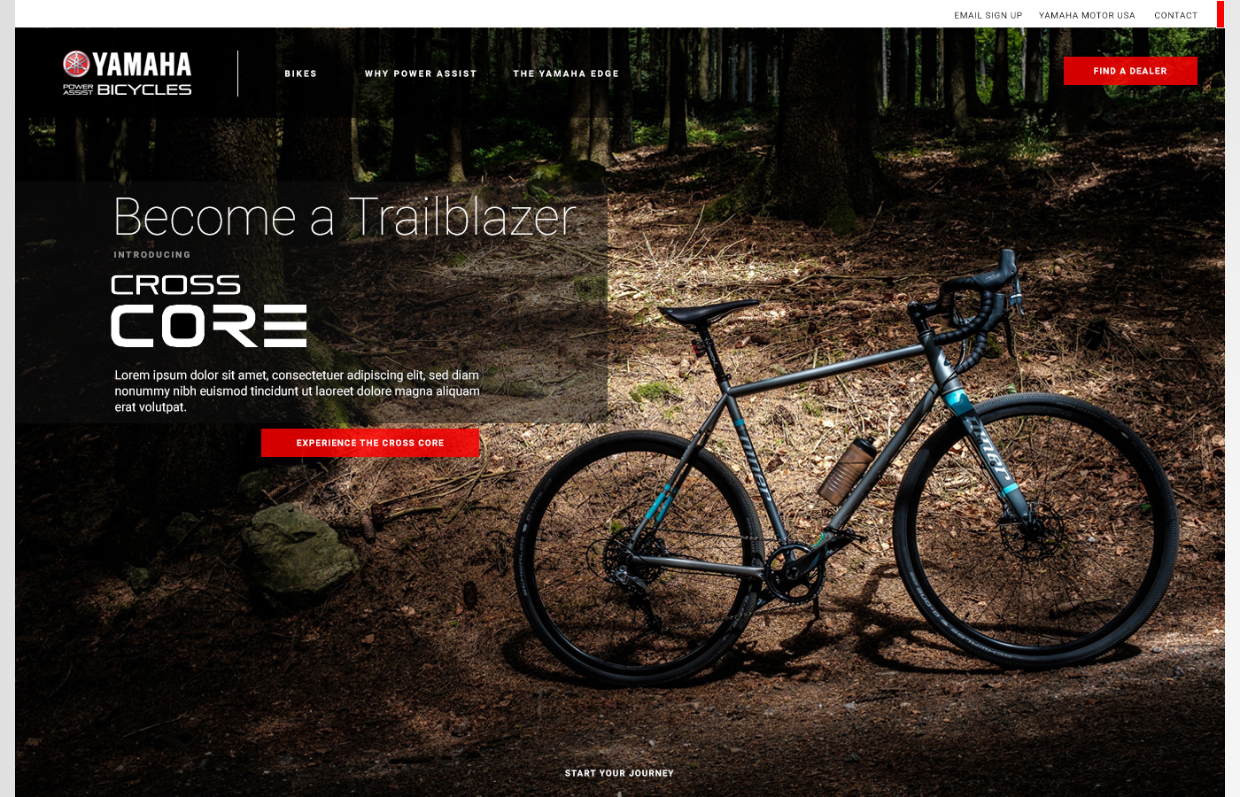 Landing / culture story experience